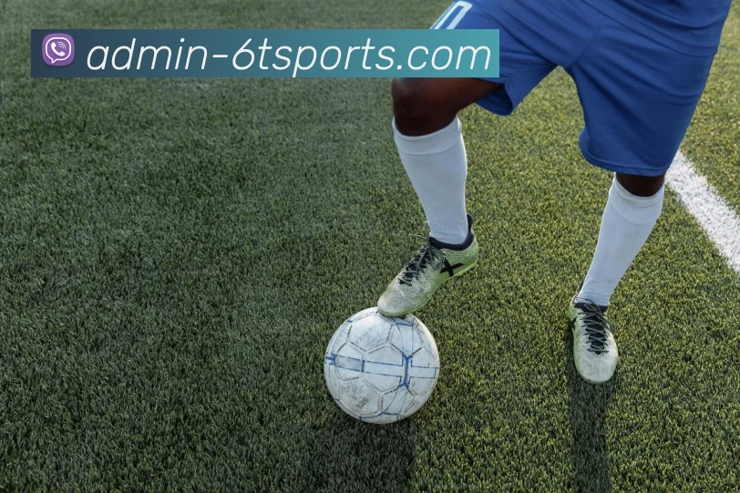 6T体育APP 封面图